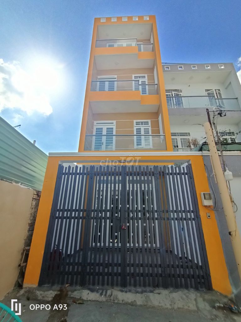 4341301 ảnh đại diện 1