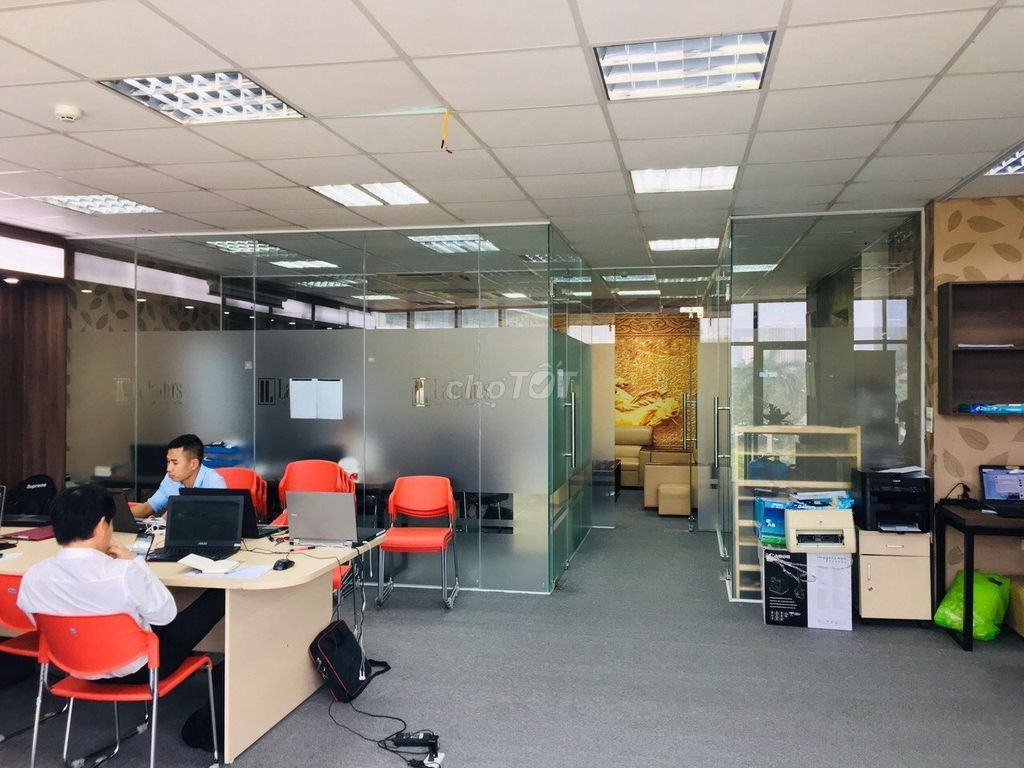 4342659 ảnh đại diện 1