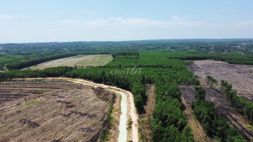 4347121 ảnh đại diện 1