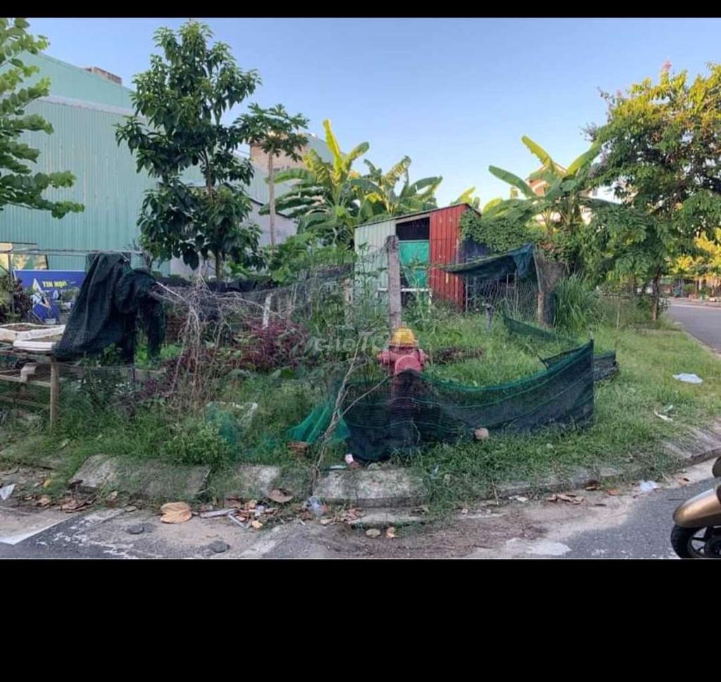 4343064 ảnh đại diện 1