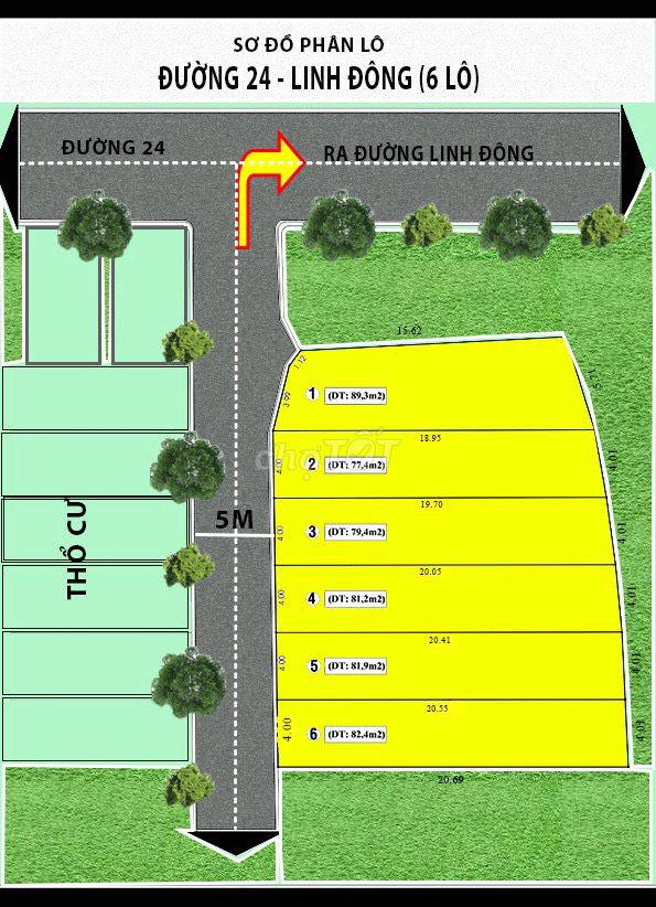 4343067 ảnh đại diện 1