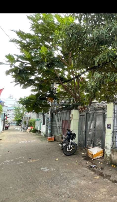4344093 ảnh đại diện 1