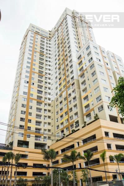 4341486 ảnh đại diện 1