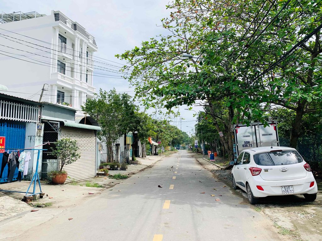 4344791 ảnh đại diện 2