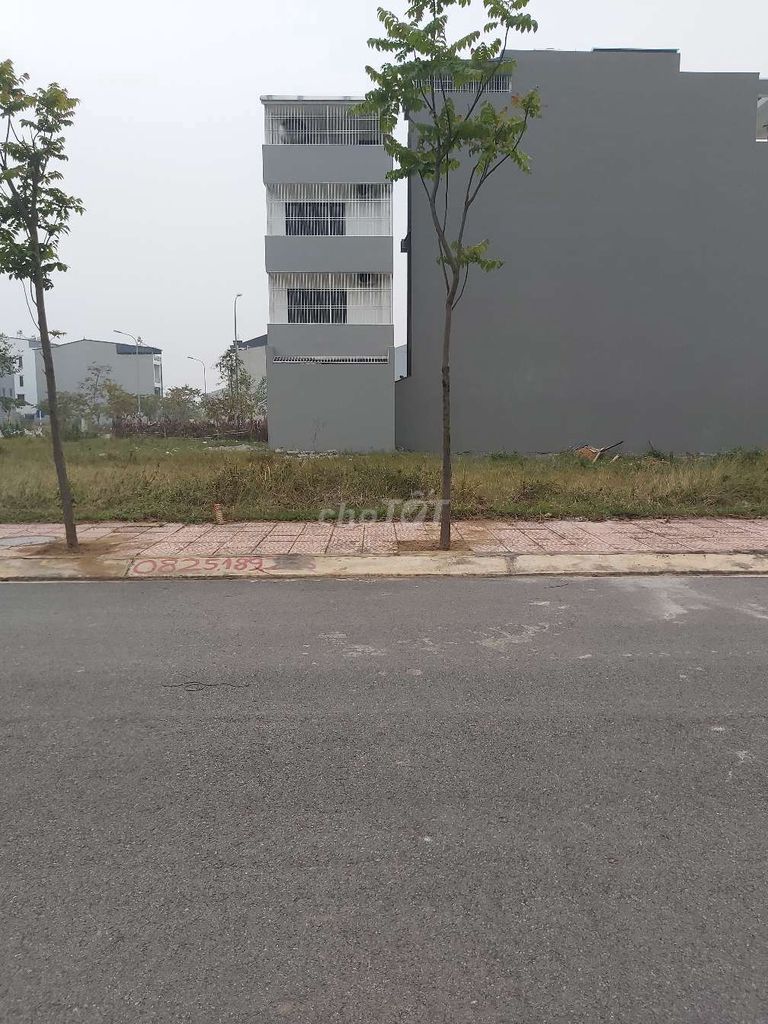 4342023 ảnh đại diện 1