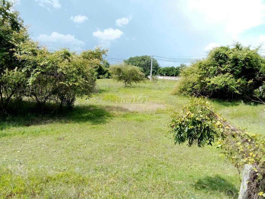 4345427 ảnh đại diện 1