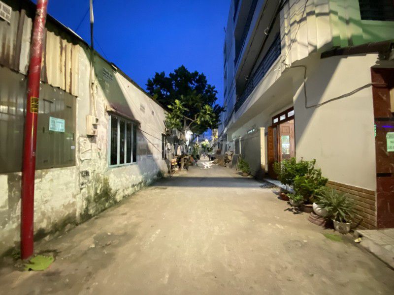 4341465 ảnh đại diện 1