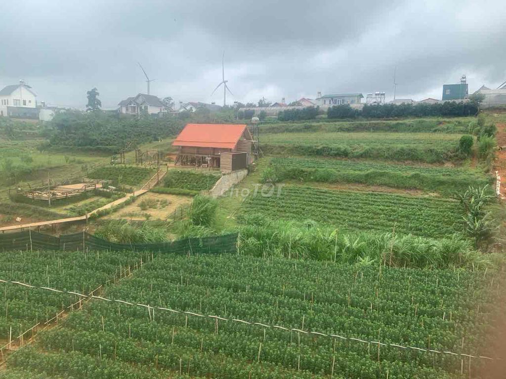 4344143 ảnh đại diện 1
