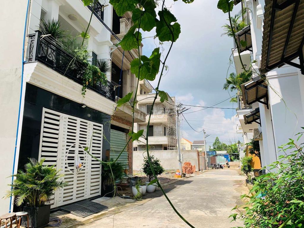 4341027 ảnh đại diện 2
