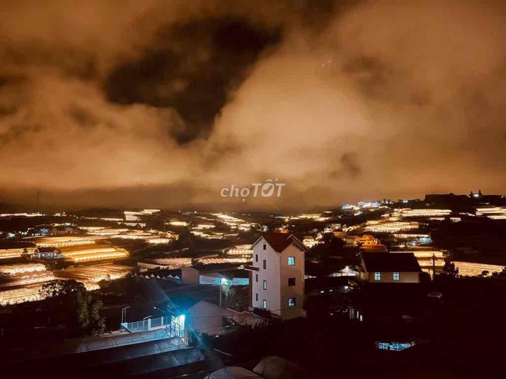 4347303 ảnh đại diện 2