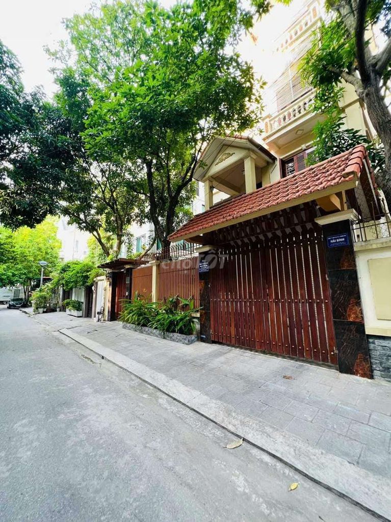 4341832 ảnh đại diện 2
