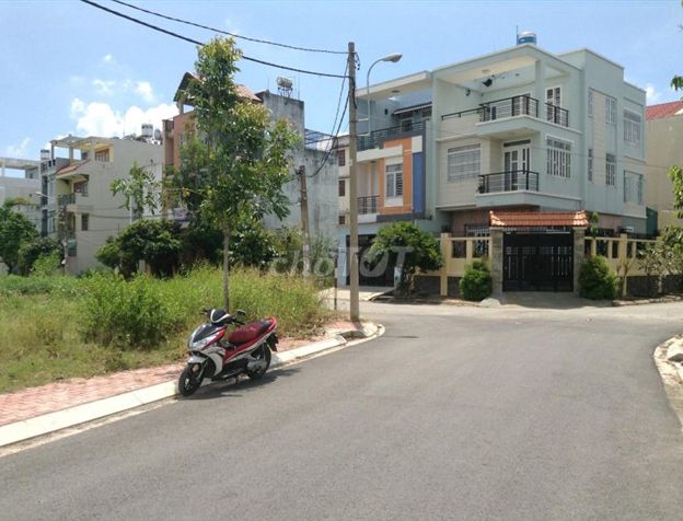 4345302 ảnh đại diện 1