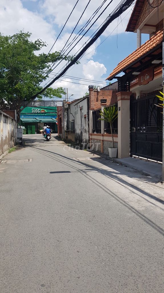 4343686 ảnh đại diện 1