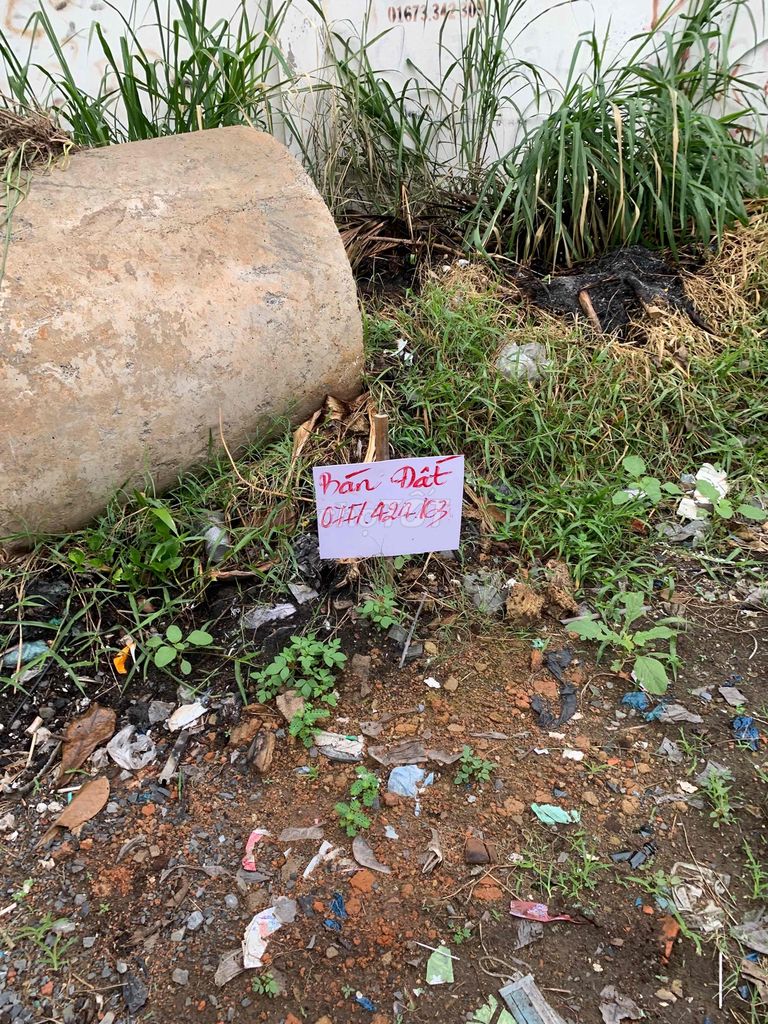4347601 ảnh đại diện 1