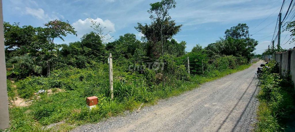 4341972 ảnh đại diện 1