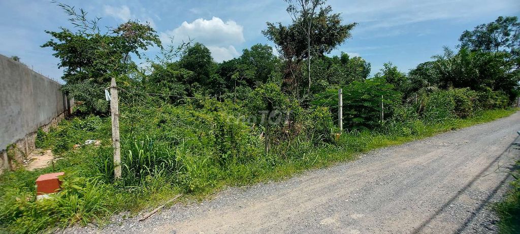 4341972 ảnh đại diện 2