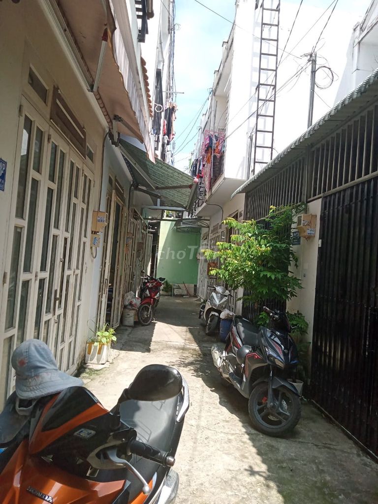 4343499 ảnh đại diện 1