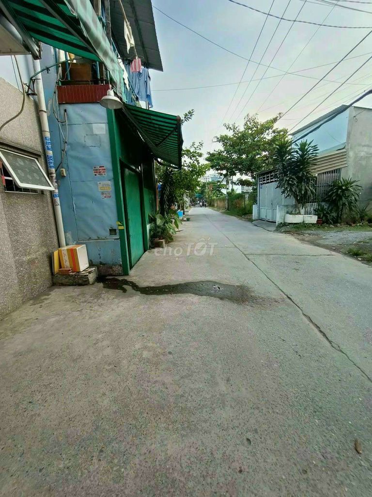 4347105 ảnh đại diện 2