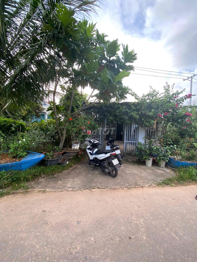 4342657 ảnh đại diện 1