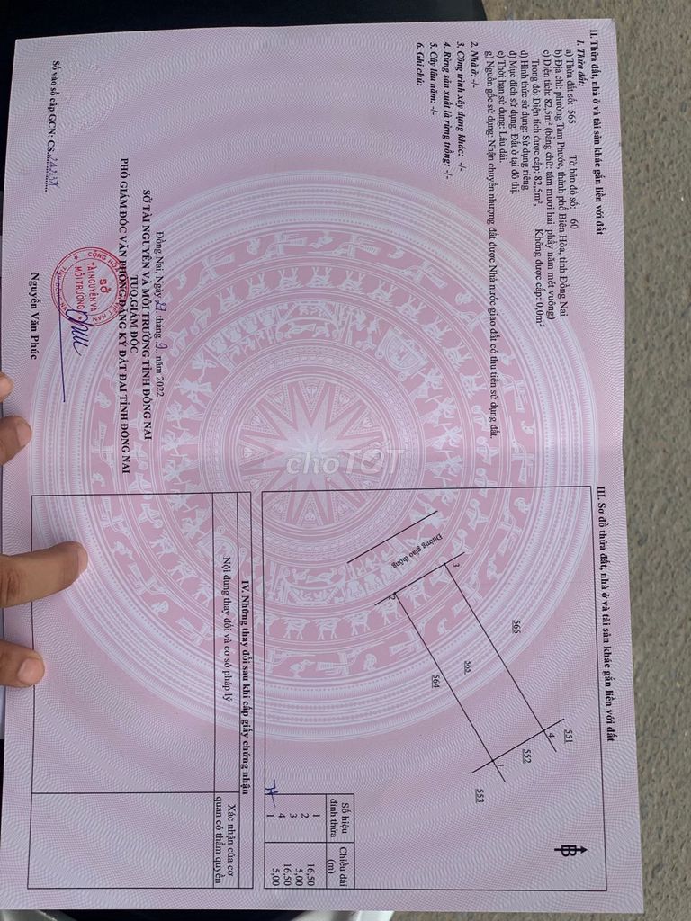 4342131 ảnh đại diện 1