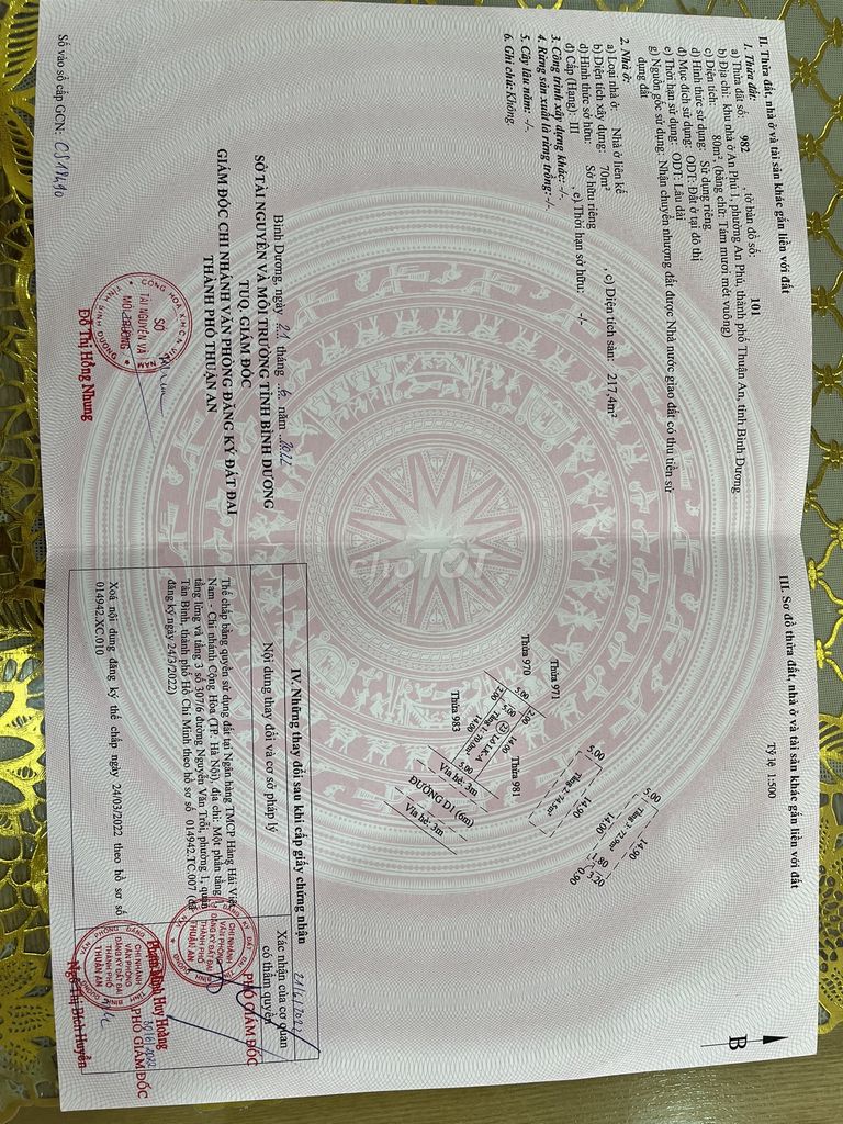 4347334 ảnh đại diện 1