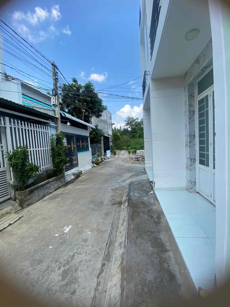 4343486 ảnh đại diện 1