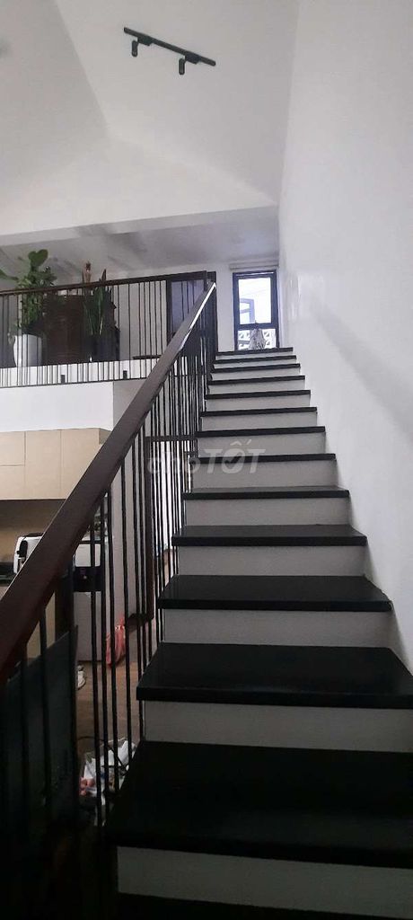 4341631 ảnh đại diện 2