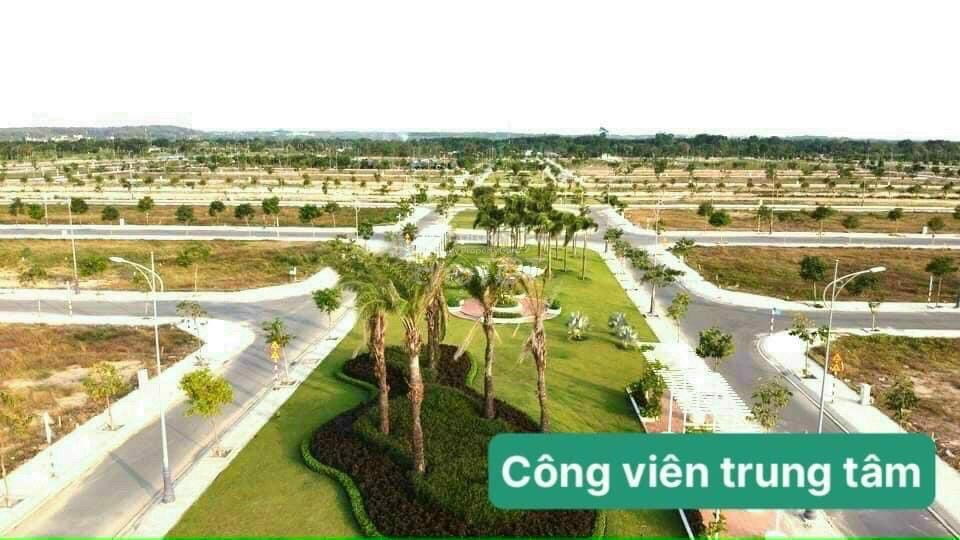 4347378 ảnh đại diện 2