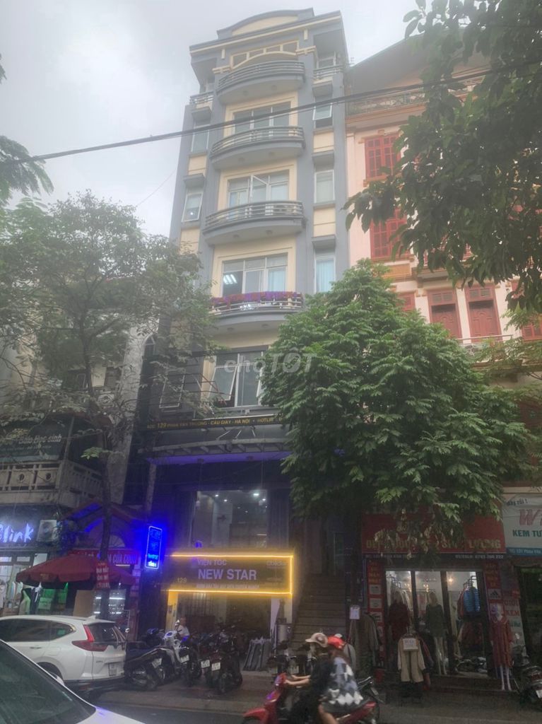 4340387 ảnh đại diện 1