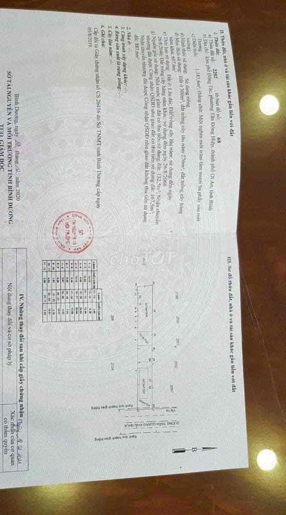 4342715 ảnh đại diện 2
