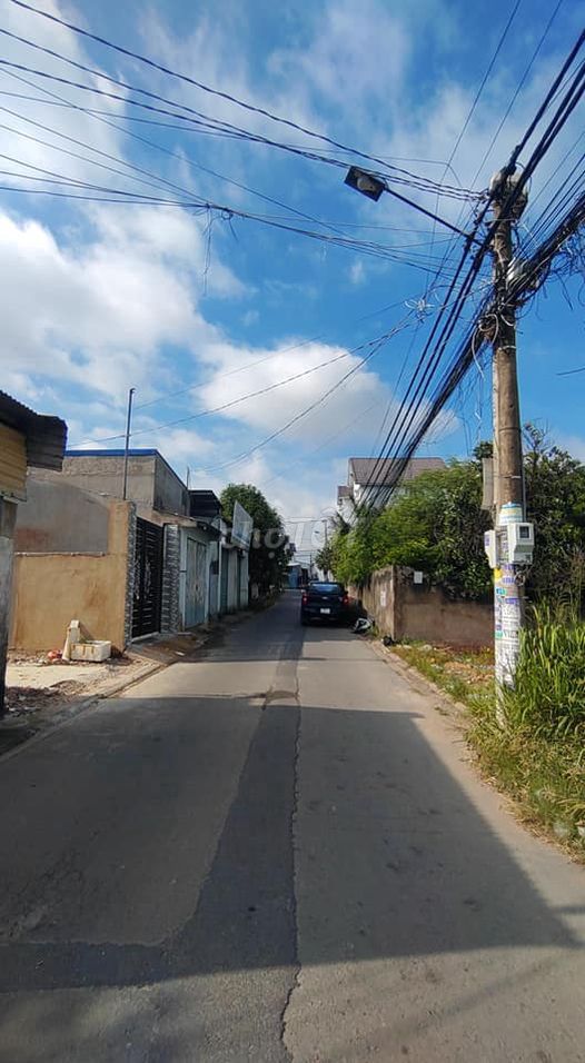 4345263 ảnh đại diện 1