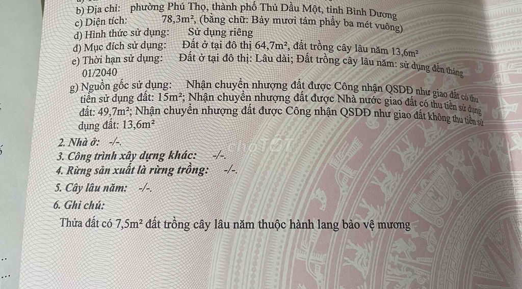 4341530 ảnh đại diện 1