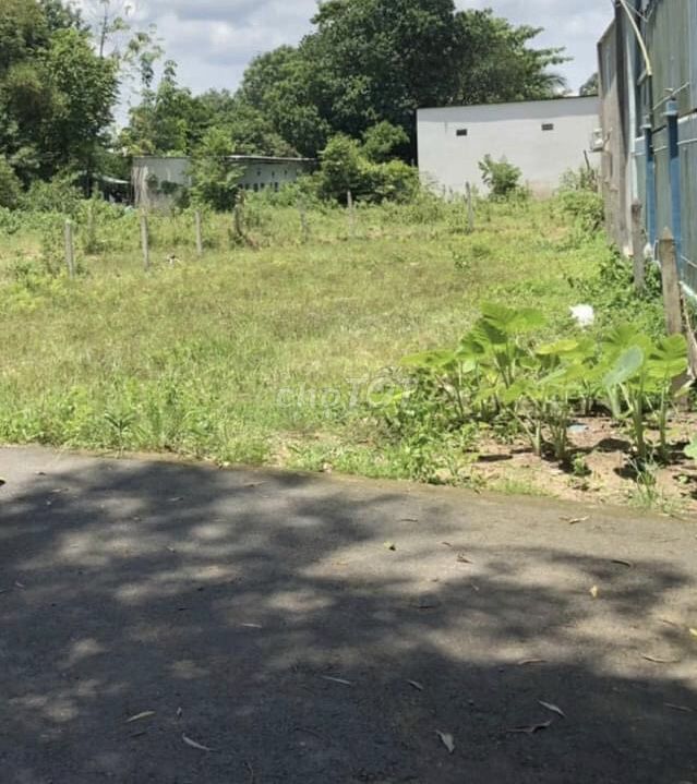 4347391 ảnh đại diện 2