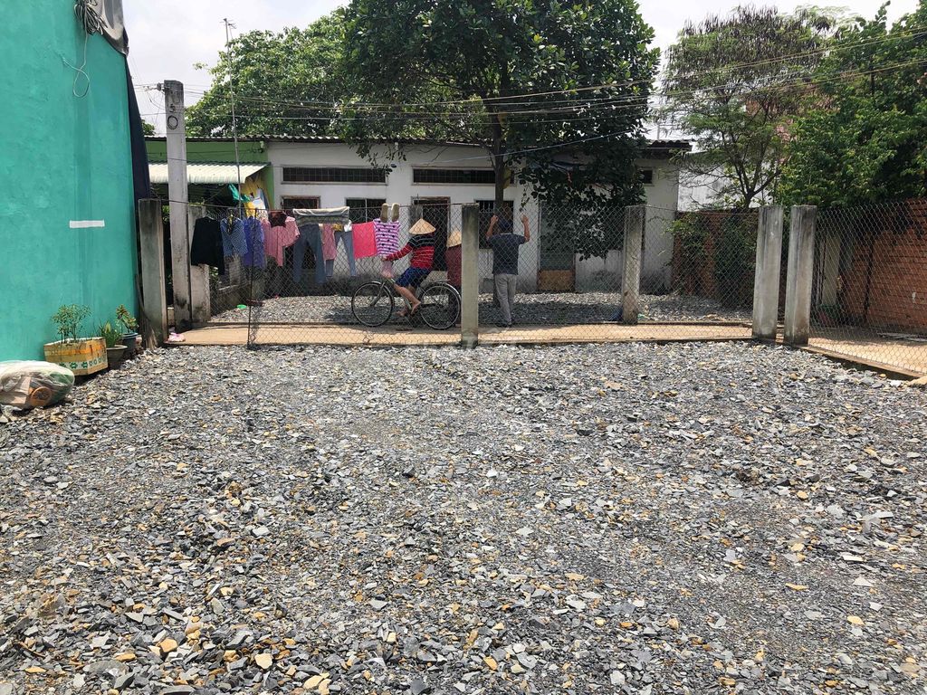 4346506 ảnh đại diện 1