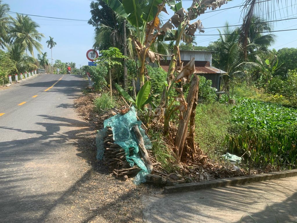 4343020 ảnh đại diện 1