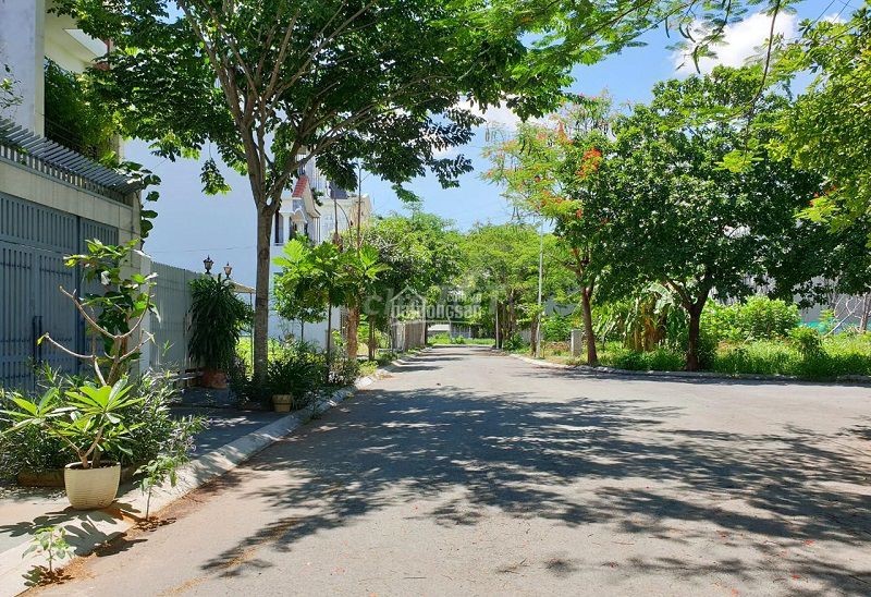 4346965 ảnh đại diện 1