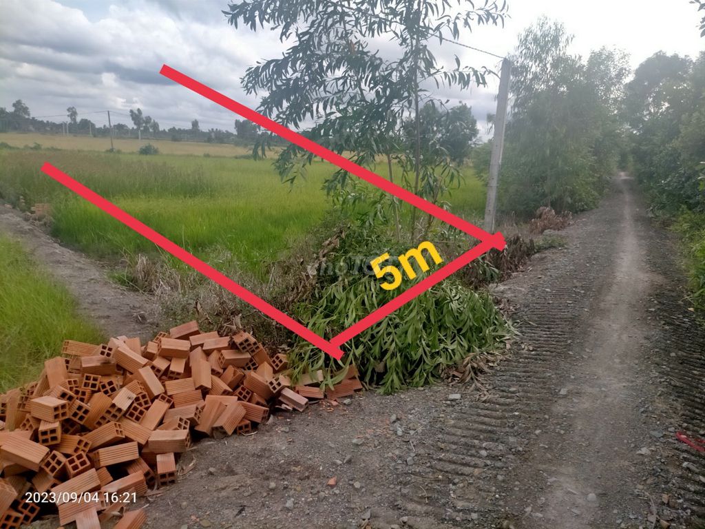 4347151 ảnh đại diện 1