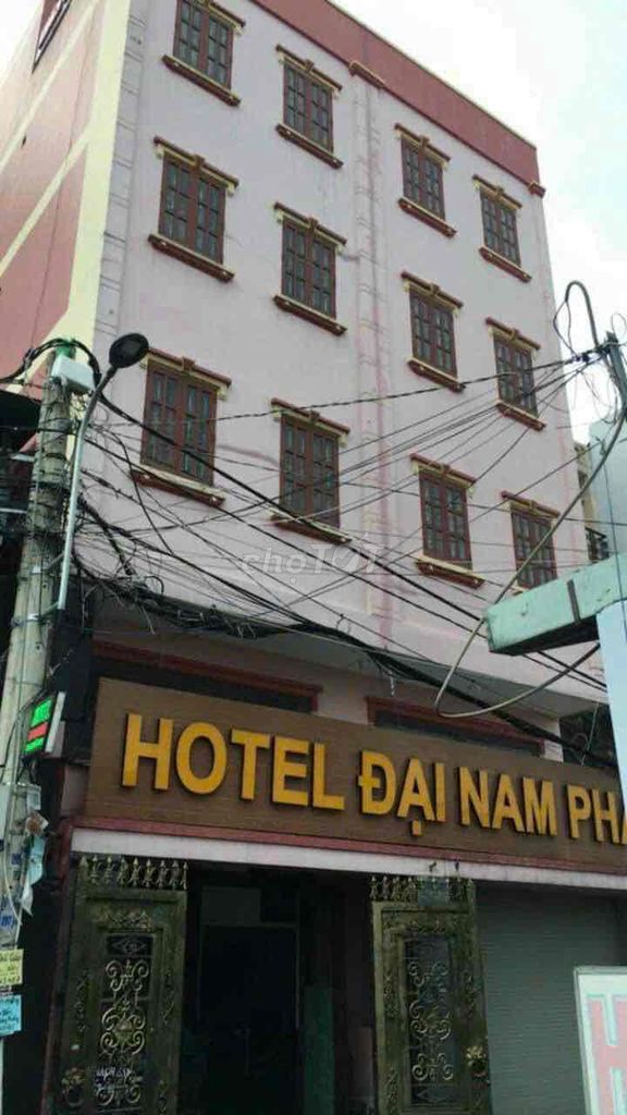 4345664 ảnh đại diện 1