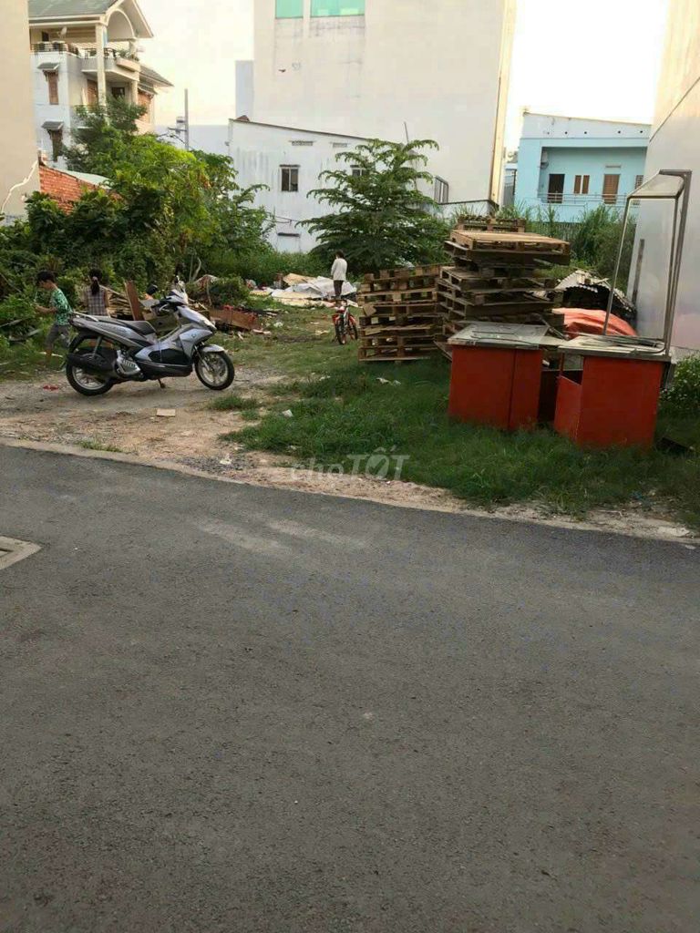 4344297 ảnh đại diện 1