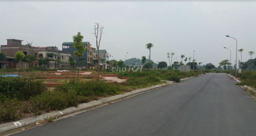 4345302 ảnh đại diện 2