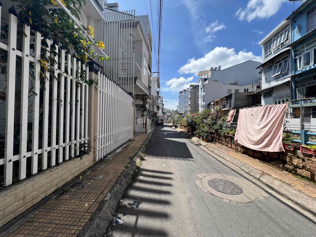 4341212 ảnh đại diện 2