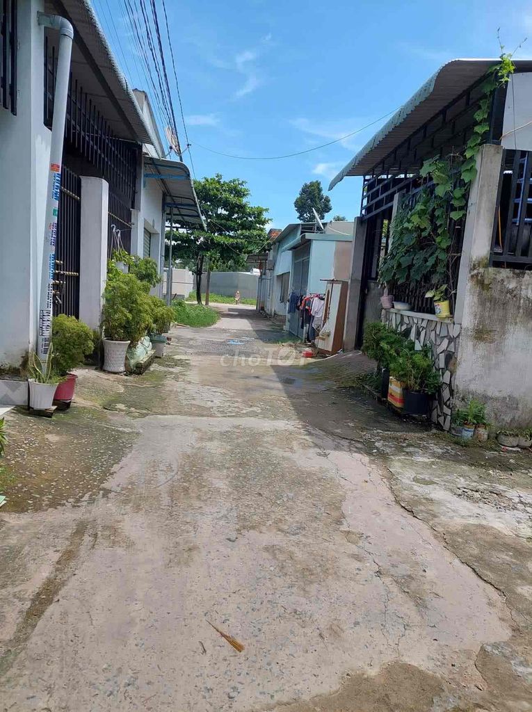 4346998 ảnh đại diện 2