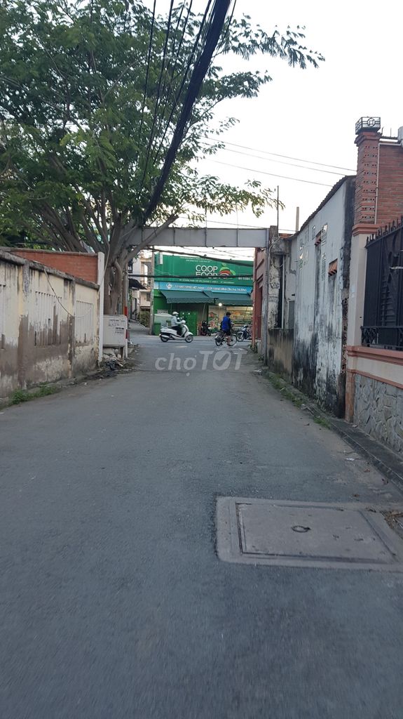 4343686 ảnh đại diện 2