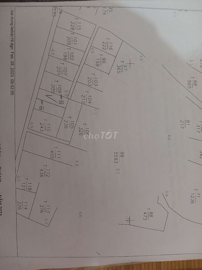 4343384 ảnh đại diện 1
