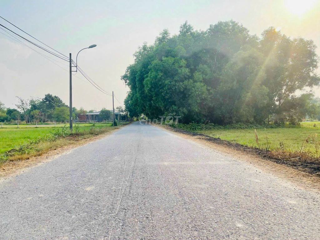 4347483 ảnh đại diện 1