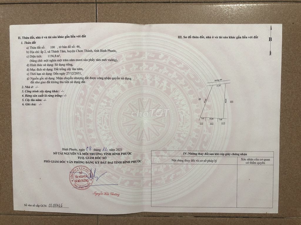 4344092 ảnh đại diện 1