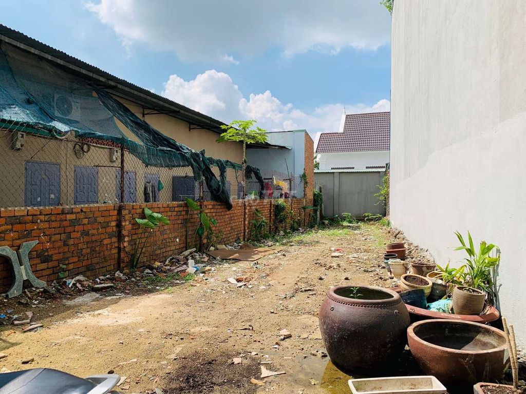 4341027 ảnh đại diện 1