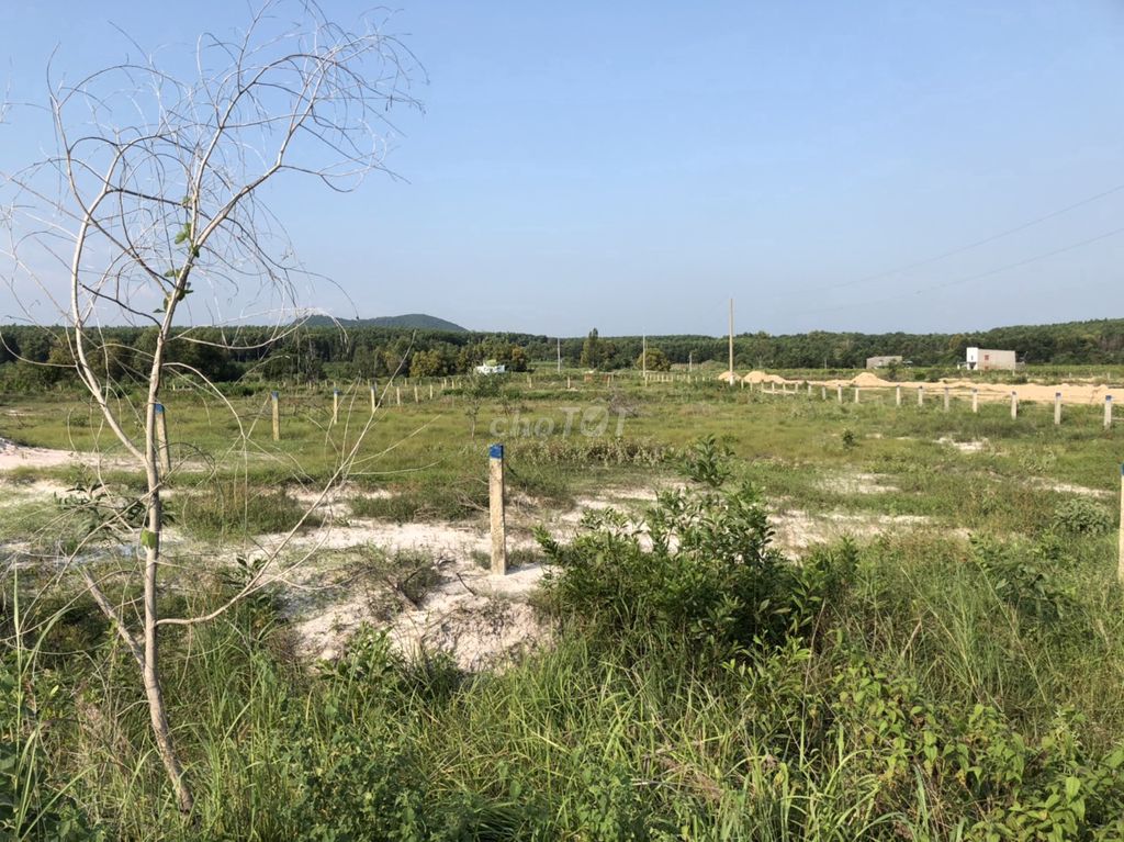 4345931 ảnh đại diện 1