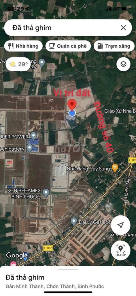 4347824 ảnh đại diện 1
