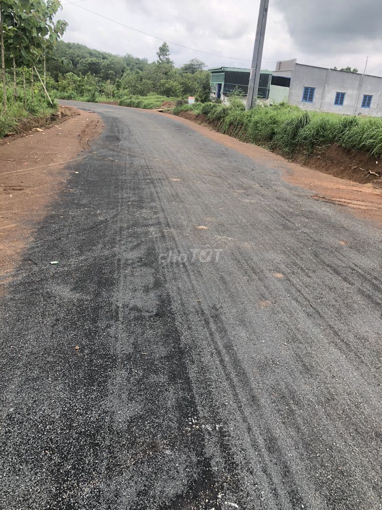 4352258 ảnh đại diện 1